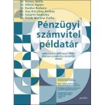 Pénzügyi-számviteli példatár 2021